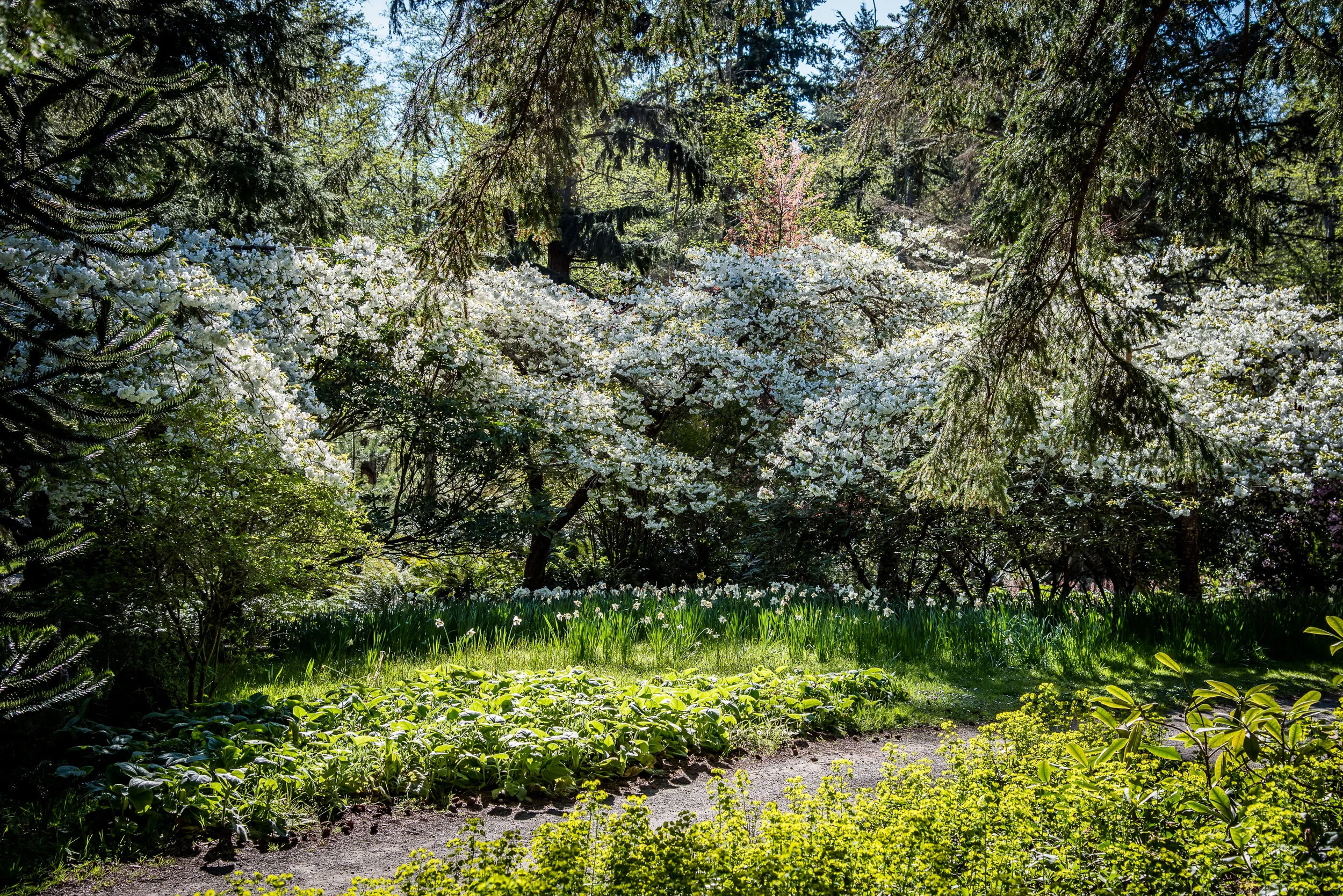 Features of the Garden — Meerkerk Gardens